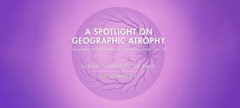 Image showing Retina Atrophy with Dry Macular Degeneration